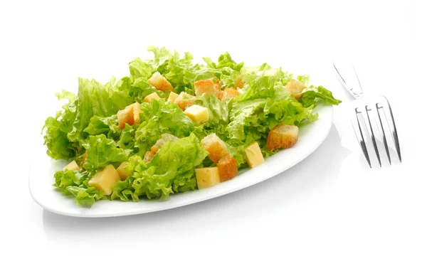 흰 접시에 놓인 샐러드의 근접 사진 — 스톡 사진