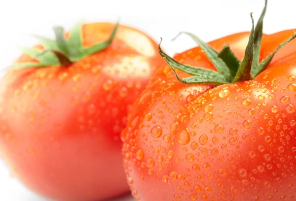 Nahaufnahme von zwei Tomaten mit Wassertropfen — Stockfoto