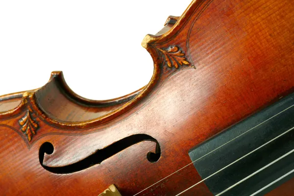 Deel van viool op witte achtergrond — Stockfoto