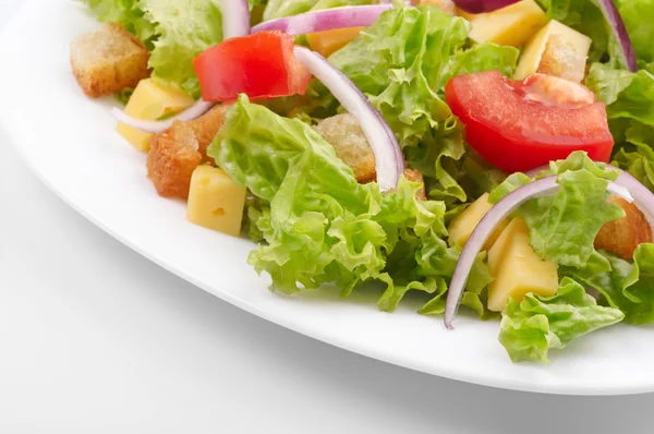 Close-up de salada na placa branca — Fotografia de Stock