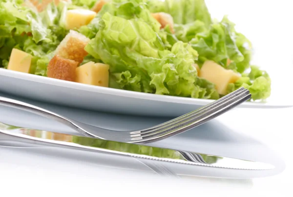 Beyaz tabakta salata yakın plan — Stok fotoğraf