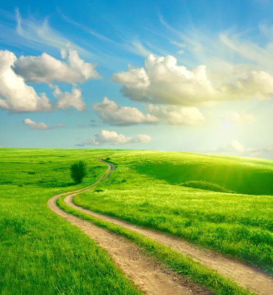 Summer landscape with green grass, road and clouds — Stock Photo, Image
