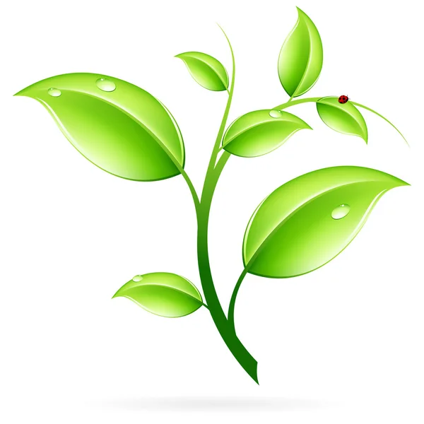 Choux verts — Image vectorielle