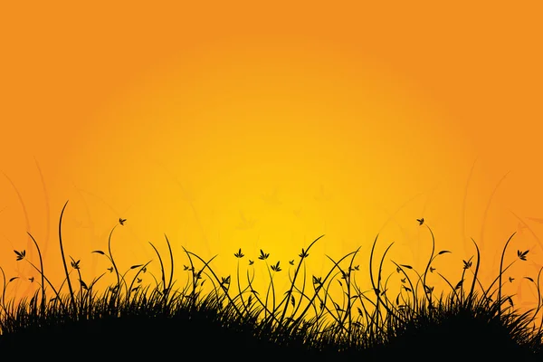 Incroyable paysage naturel lever de soleil — Image vectorielle