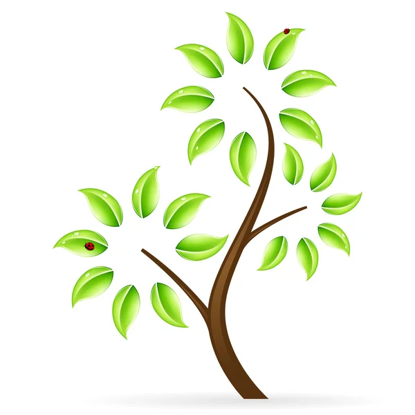 Ikona abstraktní Zelený strom — Stockový vektor
