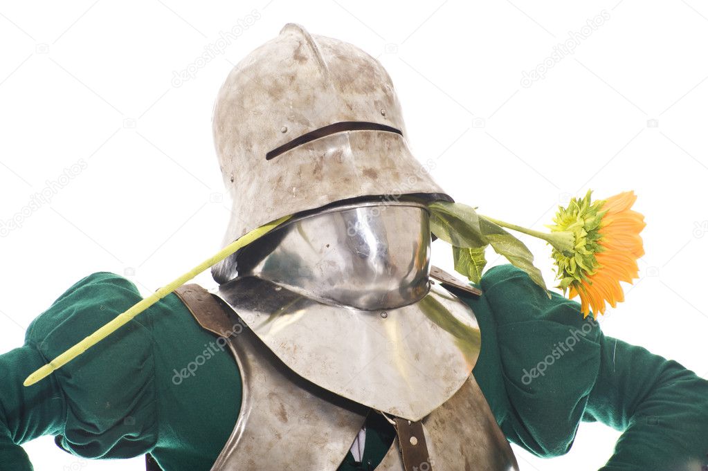 Medieval knight with sunflower