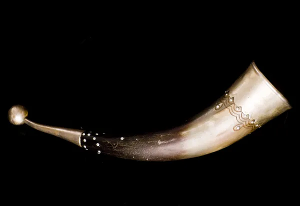 Old drinking horn — Stock Photo, Image