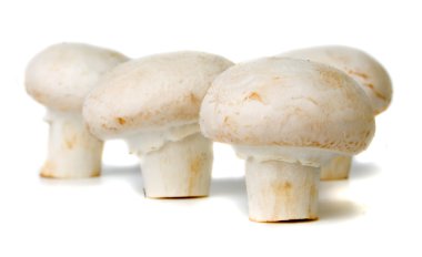 Butonu mantar (champignon)