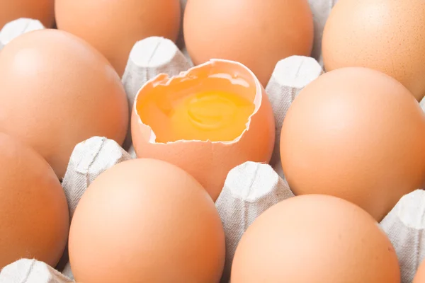 Chicken egg cart — Stock Photo, Image