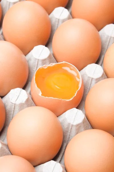 Chicken egg — Stock Photo, Image