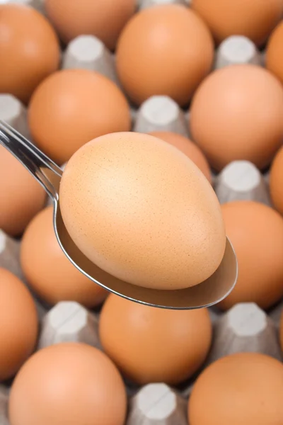 Telur Ayam — Stok Foto