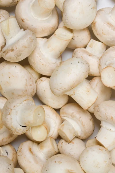 Cogumelos de botão comestíveis — Fotografia de Stock