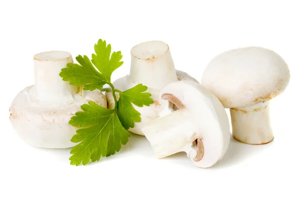 Champignon (button) mushroom — Stock Photo, Image