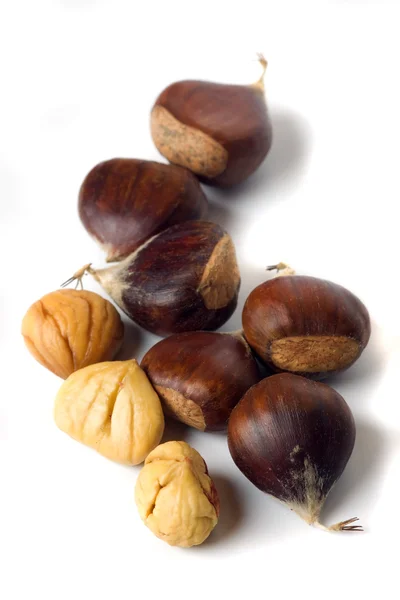 Chestnut isolated on white — Stock Photo, Image