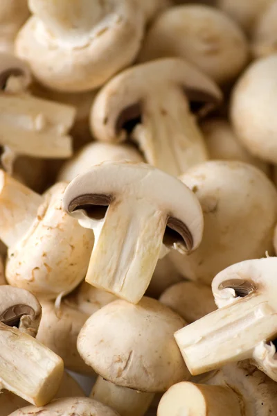 Eetbare paddenstoel — Stockfoto