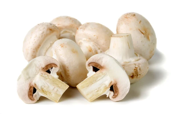 蘑菇上白色隔离 — 图库照片