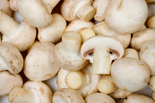 Funghi a pulsante bianchi — Foto Stock