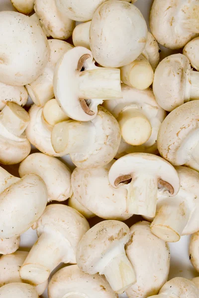 Cogumelos de botão branco comestíveis — Fotografia de Stock
