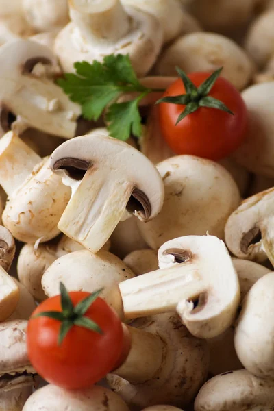 Champignon or white button mushroom — Stock Photo, Image