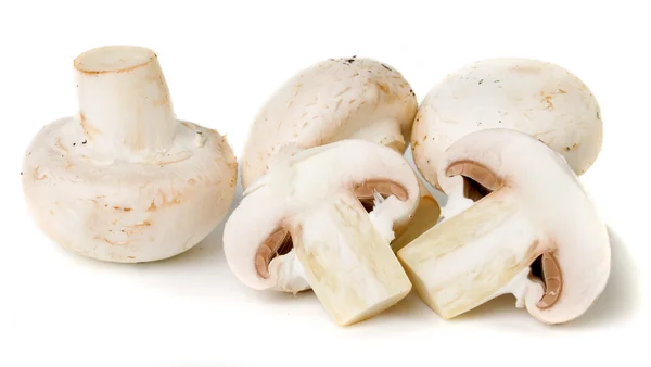 可食用的白蘑菇 — 图库照片