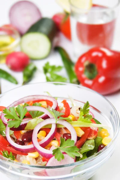 Lezzetli bahar salatası — Stok fotoğraf