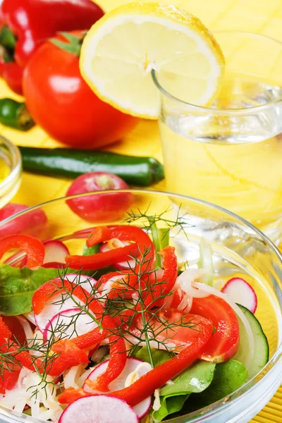 丰富而又健康的蔬菜沙拉 — 图库照片