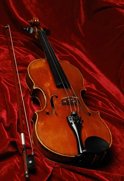 Violina — Foto Stock