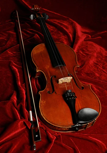 stock image Violin