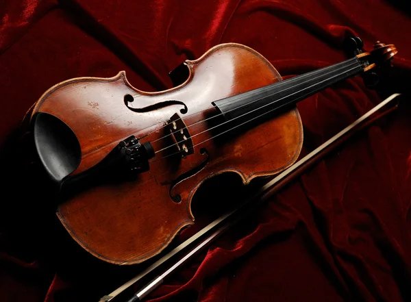 Violine — 스톡 사진