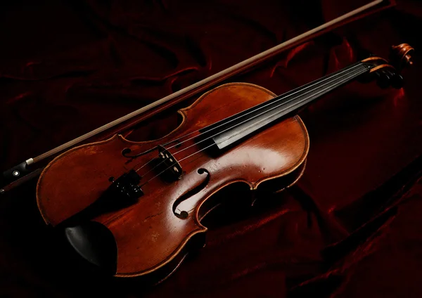 Violine — Stock Photo, Image