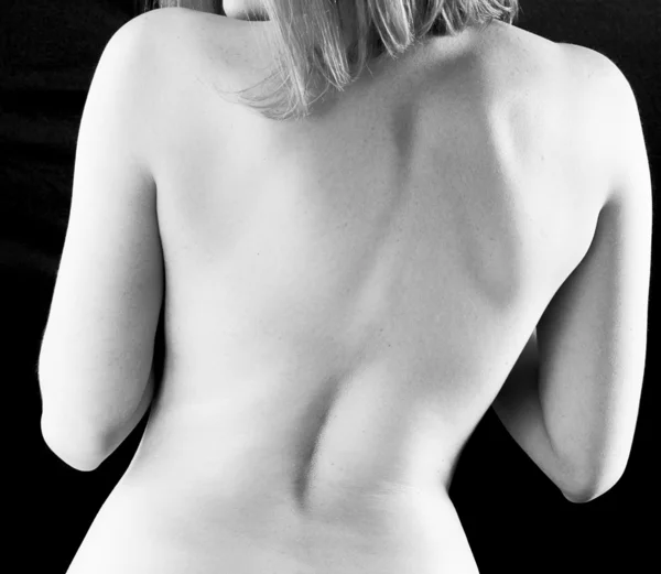Back torso — Stock Photo, Image