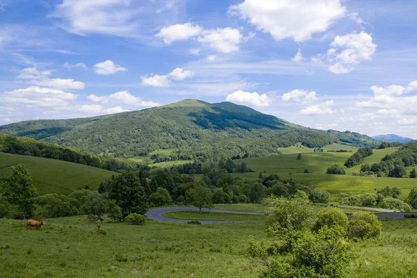 stock image Bieszczady Mountains