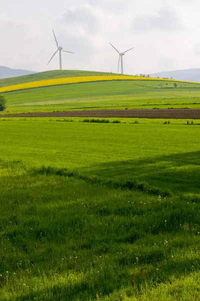 Windmühle und Rapsfeld — Stockfoto