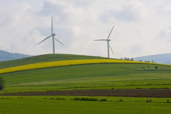Windmühle und Rapsfeld — Stockfoto