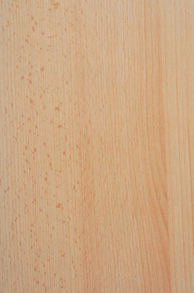 Wooden texture Stock Image