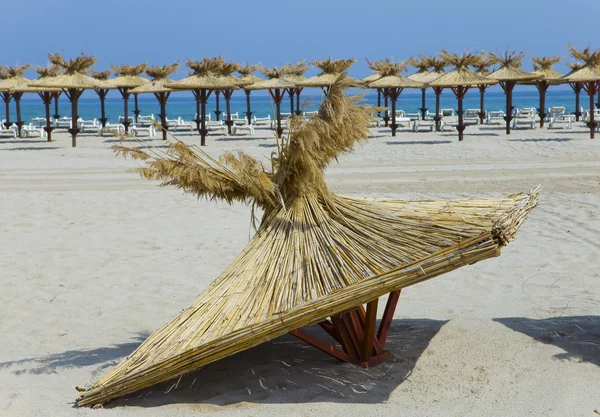 Deserted beach and beach umbrellas — Stock Photo, Image