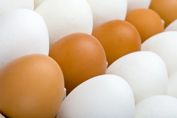Os ovos estão no suporte de papelão — Fotografia de Stock