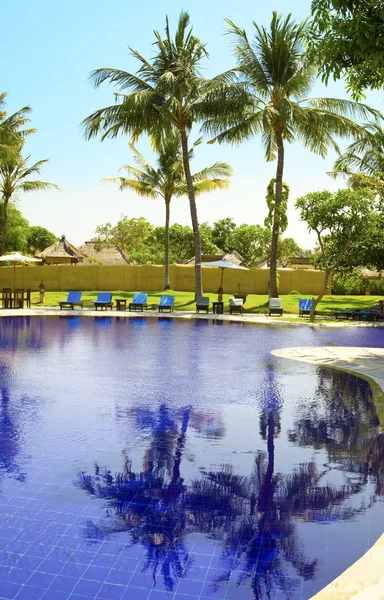 Palmbomen worden aan zwembad in wate weerspiegeld — Stockfoto
