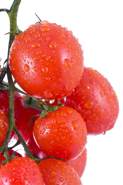 Tomates rojos en gotas de agua —  Fotos de Stock