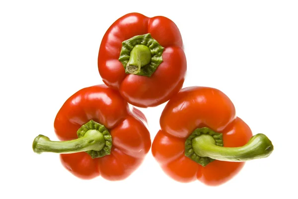 Röd saftiga paprika — Stockfoto
