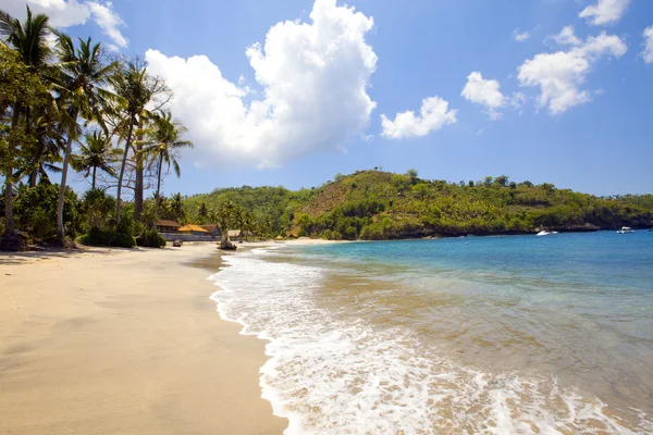 Ostrov v oceánu, písečné pláže, palmy — Stock fotografie