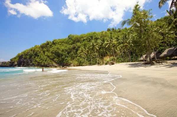 Island in ocean, sand beach, palm trees — Stock Photo, Image