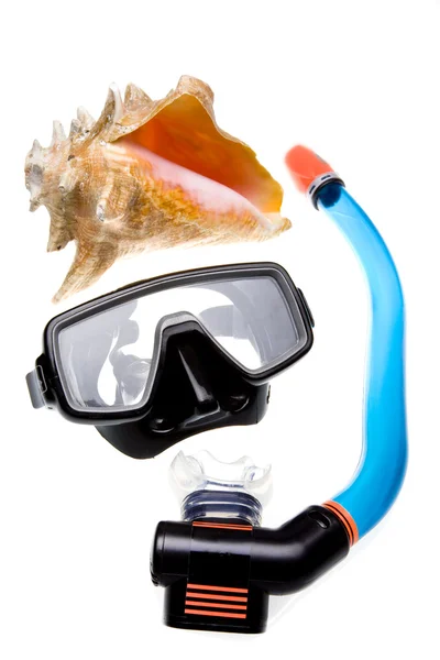 Tüp için dalış (şnorkel), büyük deniz kabuğu — Stok fotoğraf