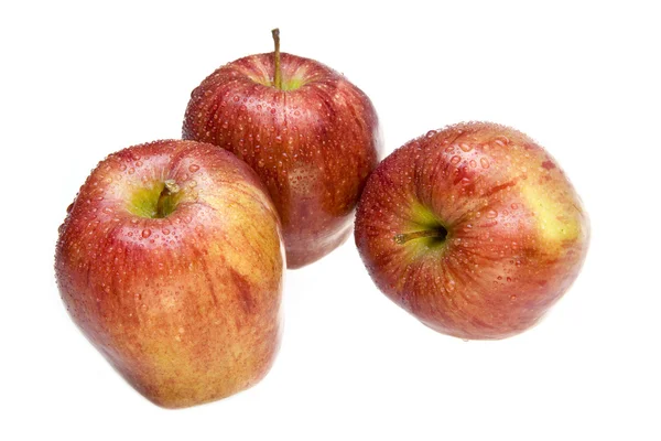 Três maçãs suculentas — Fotografia de Stock