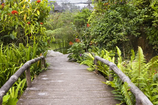 Path in the garden. Indonesia. — Stock Photo, Image
