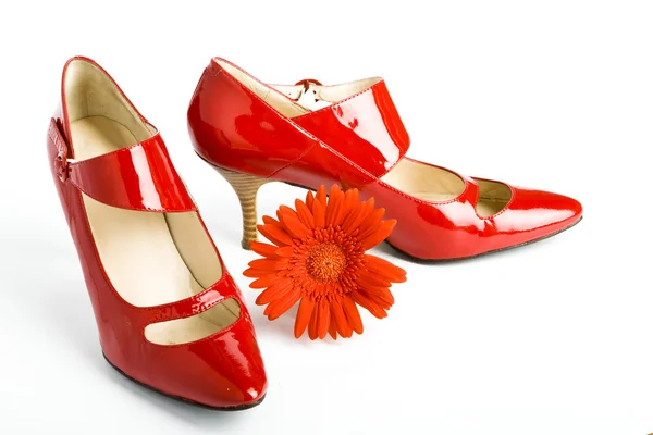 Röda skor och röd blomma — Stockfoto