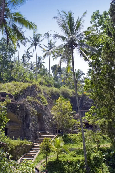 Ladder to temple in jungle.Indonesia. — Stock Photo, Image
