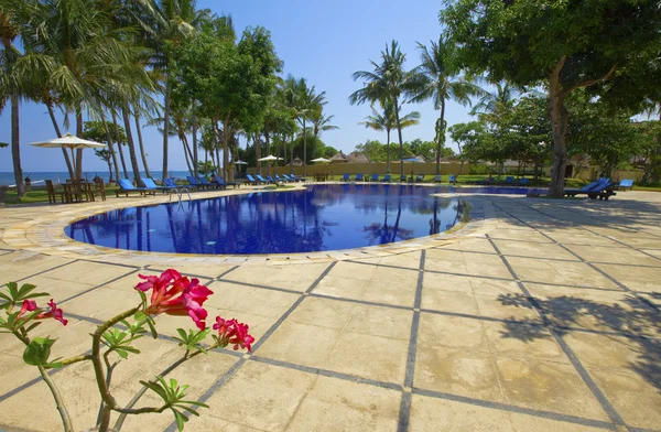 Pool, Meer, Palmen und Blumen im Garten — Stockfoto