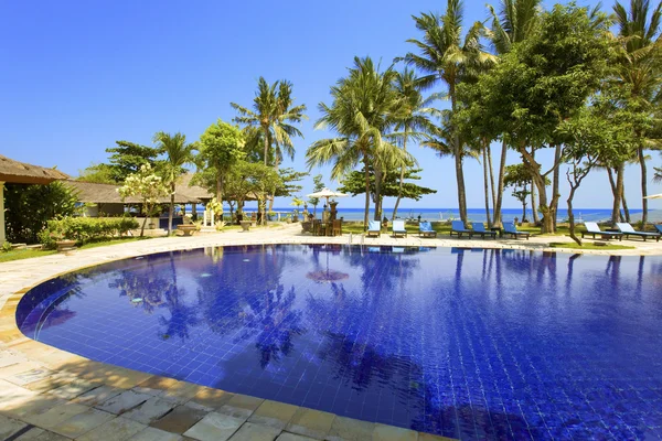 游泳池、 海洋、 棕榈树。印度尼西亚。广管局 — 图库照片