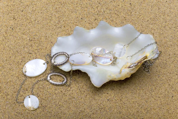 The exotic sea shell with beads — Stock Photo, Image